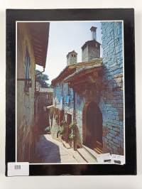 Francis of Assisi : Innovator for a New Society