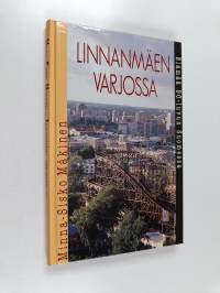 Linnanmäen varjossa : elämää 90-luvun Suomessa