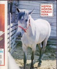 JEKKU, kiva puuhalehti. 1/ 1988.