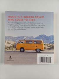 Find Momo coast to coast : my dog is taking a road trip, can you find him? : another hide-and-seek photography book