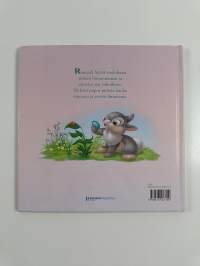 Disney Puput : Rumpalin yllätyslöytö