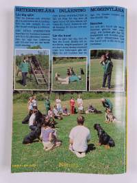 Din hund fortsätter : beteendelära, inlärning, momentlära