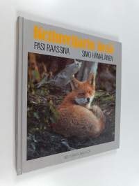 Kettuveijarin kesä