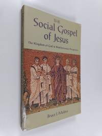 The social gospel of Jesus : the kingdom of God in Mediterranean perspective