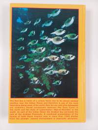 Red Sea Reef Guide - Egypt, Israel, Jordan, Sudan, Saudi Arabia, Yemen, Arabian Peninsula (Oman, UAE, Bahrain)