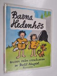 Barna Hedenhös : bilder från stenåldern