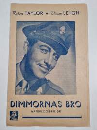 Sumujen silta = Dimmornar bro