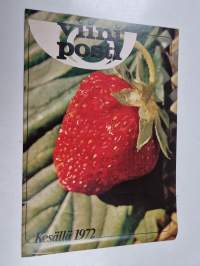 Viiniposti kesällä 1972