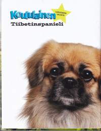 Koululainen 2011/9.  Keskiaukeama-juliste (AVAAMATON) mukana - Michael Jackson, Uusi Päivä, Reilu luokka -tehtävät, Tiibetinspanieli