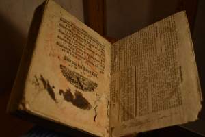 Mag. Michael Henrichsons Cogne-Breafts till St. Nicolai Meenigheb i Koebenhavn - Liig Braediterns Anden Deel hvor af nogle tilforn ved Irnden ere udgangne