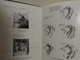 The English Shetland Sheepdog Club Handbook 1966
