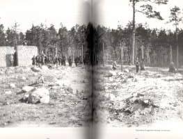 Vankileirihelvetti Dragsvik : Tammisaaren joukkokuolema 1918