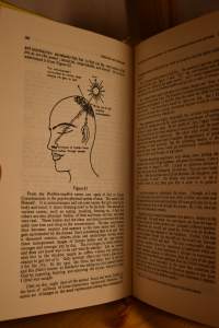 Third Eye and Kundalini - An Experimental Account of Journey From Dust to Divinity
