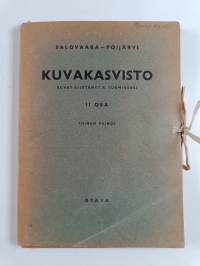 Kuvakasvisto 1 -2