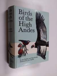 Birds of the high Andes