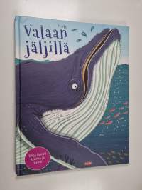 Valaan jäljillä