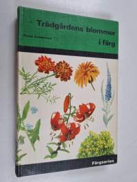 Trädgårdens blommor i färg