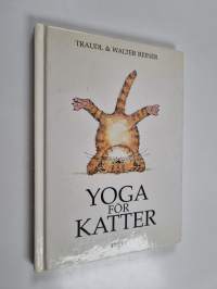 Yoga för katter