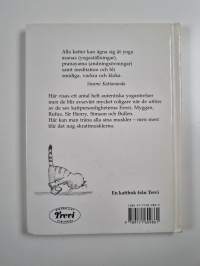 Yoga för katter