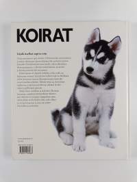 Koirat : löydä itsellesi sopiva rotu