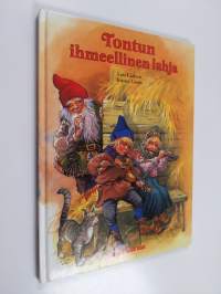 Tontun ihmeellinen lahja