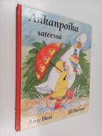 Ankanpoika sateessa