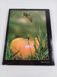 Borne on the wind : the extra-ordinary world of insects in flight