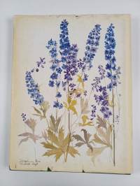 Flowers from a painter&#039;s garden : the watercolors of Paul Gell