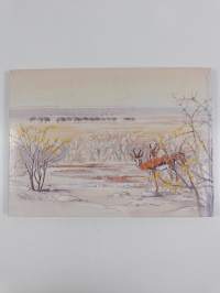 Etosha Experience