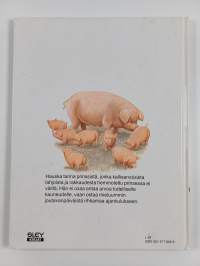 Sikopaimen