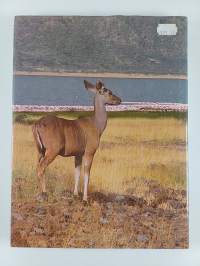 Kenya