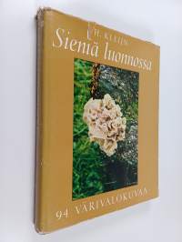 Sieniä luonnossa