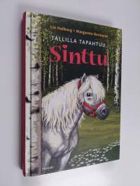 Tallilla tapahtuu, Sinttu
