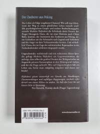 Der Zauberer aus Peking - Roman
