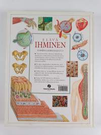 Elävä ihminen : toimiva kokonaisuus