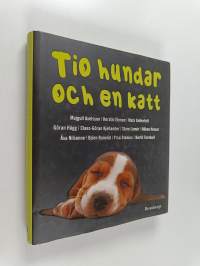 Tio hundar och en katt