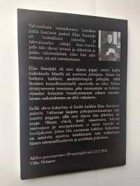Palava pensas - Elias Simojoen puheita