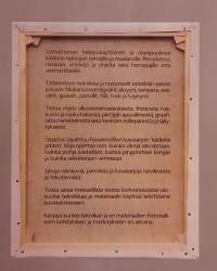 Piirustus ja maalaus - Opas ja käsikirja.