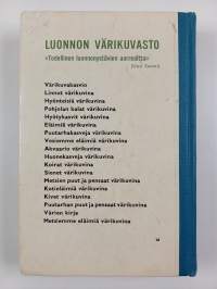 Koulun värikuvakasvio