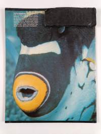 Merten salaisuudet 33/1977