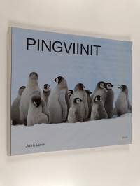 Pingviinit