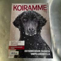 Koiramme.  11.      . 2024.    Leptospiroosirokotuksiin ruuhkaa