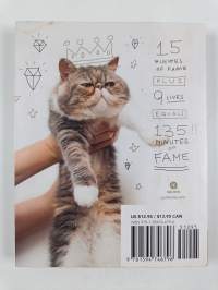 How to make your cat an Internet celebrity : a guide to financial freedom
