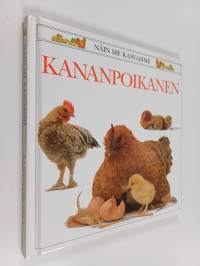 Kananpoikanen