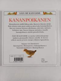 Kananpoikanen