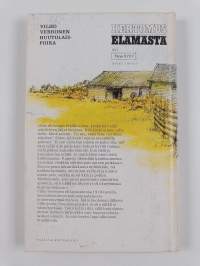 Huutolaispoika