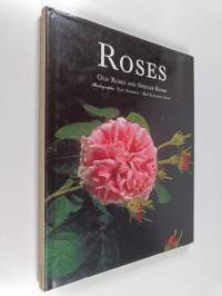 Roses : old roses and species roses