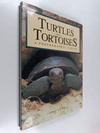 Turtles and tortoises : [a photographic survey]