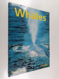Whales : posterbook