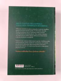 Palava labyrintti